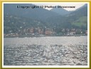 Tegernsee / Bad Wiessee Bild 005