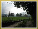 Tegernsee / Bad Wiessee Bild 083