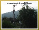 Tegernsee / Bad Wiessee Bild 093